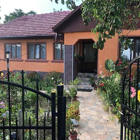 Casuta Bunicilor Isverna Exterior foto