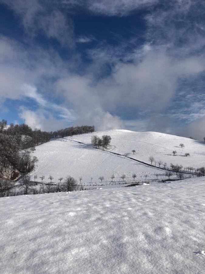 Casuta Bunicilor Isverna Exterior foto